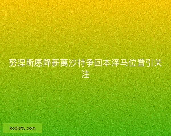 努涅斯愿降薪离沙特争回本泽马位置引关注